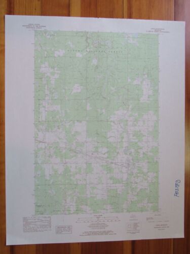 Ewen Michigan 1983 Original Vintage USGS Topo Map
