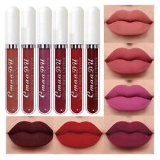 6Pcs Matte Lipstick Set Long Lasting Waterproof Make Up Lipstick Beauty Cosmetic