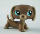Mini Pet Shop Green Eyes Rare Gift Mocha Brown Puppy LPS #1751 Dachshund Dog