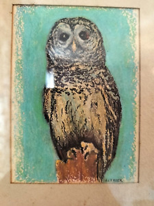 Original Pastel Drawing of Owl Signed Eleazer 10.5