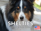 Sheltie Dog Breed 2024 Wall Calendar