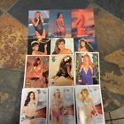 Lot Of 12 Adult Trading Cards, 4 Different Brands— Please L@@k At My Listings