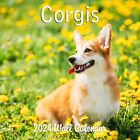 2024 Corgis Hangable Monthly Wall Calendar Dogs
