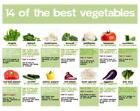 DELICIOUS Essential Survival Kit Perfect Vegetable Garden SEEDS 5 EZ Varieties!