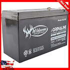 12V Sealed Lead Acid Rechargeable Battery Outdoor Long Lasting For Deer Feeders