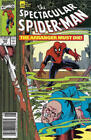 New ListingSpectacular Spider-Man, The #165 (Newsstand) FN; Marvel | Hidden Spider Cover -