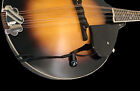 The Feather Mandocello Pickup by Myers Pickups