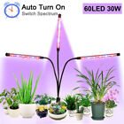 Phlizon 600W LED Grow Light Panel Full Spectrum Lamp for Indoor Commercial 2x2ft