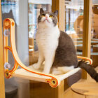 Cat Bed Window Perch Seat Suction Cups Cat Hammock Pet Resting Seat Cat Shelves
