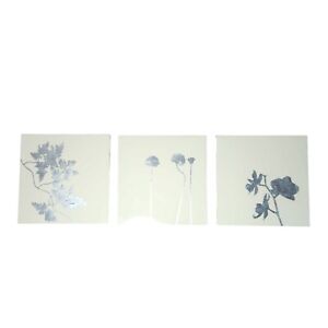 West Elm Wall Art 3 Pc Set 15 Inch Ivory Silver Hanging Floral Minimalist