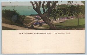 Postcard CT Pine Orchard View From Dining Room Sheldon House Hand Colored F25
