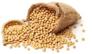 Us Grown Soybean for Tofu Soy Milk  Vegetarian Protein 15oz/2LBs