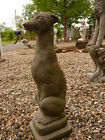 DIVINE WEATHERED/WORN VINTAGE CEMENT CONCRETE WHIPPET DOG STATUE 20