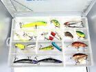 Mixed Lot Of 18 Fishing Lures. Some Vintage. Plus Case.