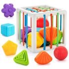 Montessori Toys for 1 Year Old,Baby Sorter Toy Colorful Cube 6 Pcs