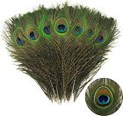 THARAHT 12pcs Peacock Feather Natural in Bulk 10-12 inch 25-30cm for Craft Va
