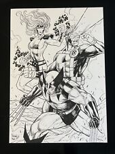 Wolverine Cyclops Phoenix X-Men (12