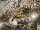 New ListingVintage Paw Paw Minnow Fishing Lure Antique Tackle Box Bait Condition! Bass Pike