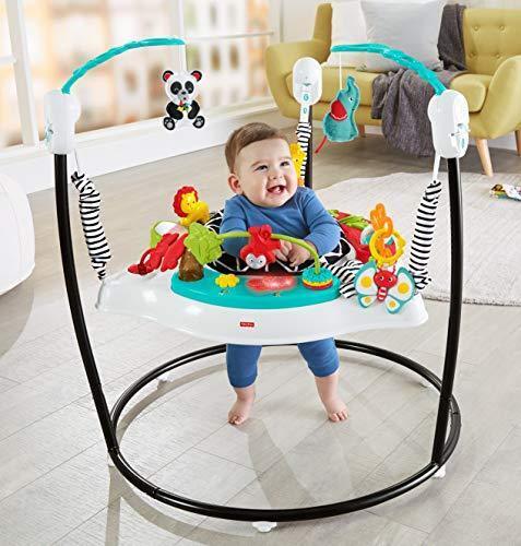 Fisher-Price Baby Bouncer Animal Wonders Jumperoo Activity Center With Music Lig