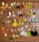 Trout Spinner Lot Panther Martin Rooster Tail Blue Fox