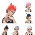 Flower Feathers Ascot Race Fascinator Top Hat Wedding Small Mini Royal Hair Clip