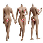JIAOU DOLL 1/6 XL Large Bust Suntan Skin Female Figure Body for Phicen Hot Toys