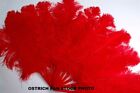 LARGE OSTRICH FAN - RED Feathers 50