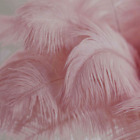 Ostrich Feathers - Plumes - Soft Dusty Pink Drabs - 10 Pcs. - (8-10