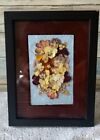 Vintage Framed Pressed Dried Flowers Purple Yellow White Floral