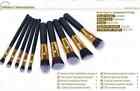 10pcs Professional Cosmetic Makeup Tool Brush Brushes Set Powder Eyeshadow Blush
