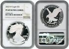 New Listing2023 - W Silver American Eagle S$1 NGC PF69 Ultra Cameo Brown