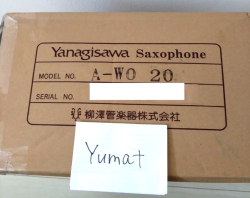 In Stock Yanagisawa A-WO20 Elite Professional Alto Saxophone Bronze Brass New