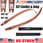 Archery ILF Limbs Recurve Bow Limbs for 19