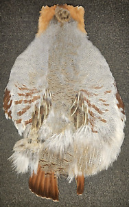 Hungarian Partridge Pelt, Premium Fly Tying Feathers, Select Hun Skin