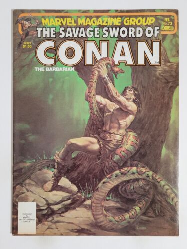 SAVAGE SWORD of CONAN #73 (VF-) 1982 CHIODO COVER ART! BRONZE AGE MARVEL MAG