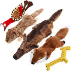 Dog Squeaky Toys 5 Pack Pet Toys Dog Toy No Stuffing Animals Plush Chew Durable