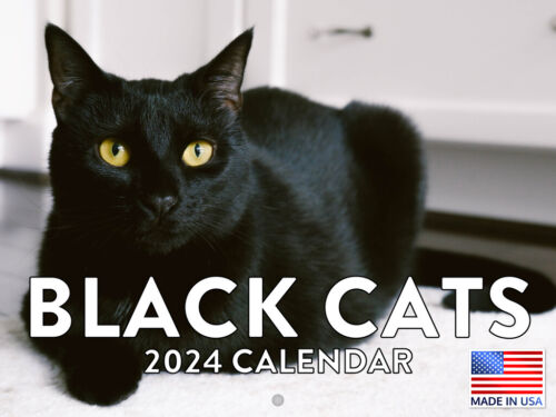 Black Cat 2024 Wall Calendar