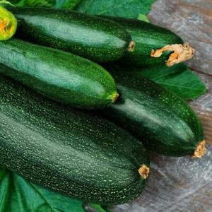Dark Green Zucchini Summer Squash Seeds, NON-GMO, Variety Sizes, FREE SHIPPING