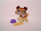 LPS #58 Littlest Pet Shop Collie with accessories RARE, RETIRED.