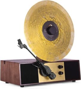 Fuse （Rad-Rec-2）Vertical Vinyl Record Player -w/ Am/FM radio LCD Bluetooth