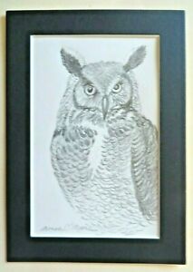 Original Pencil Drawing of Great Horned Owl, RICE University Mascot 5 x 7