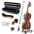 Soloist Series Violin VN505 Mastero Level 4/4 Size Antique Style Professional