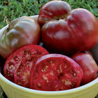 Black Krim Tomato Seeds | Non-GMO | Free Shipping | Seed Store | 1034