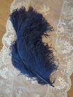 Antique Edwardian Titanic Blue Ostrich Millinery Plume Feather