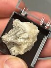 Muscovite, fluorapatite, albite, quartz  from Oxford Co., Maine  micromount