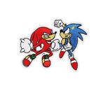 Sonic Hedgehog and Knuckles Characters Fighting 2.56