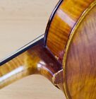 old violin 4/4 geige viola cello fiddle label JOANNES BAPT. GUADAGNINI Nr. 1900