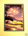 Magic Moment by Anthony Casay Tropical MMS Double Matted Print Fits 8x10 Frame