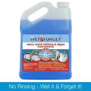 Wet & Forget Outdoor Liquid Surface Cleaner & Stain Remover, Eliminate Mold Mild