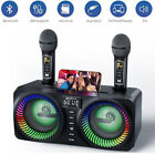 Bluetooth Portable Karaoke Machine PA System Dual Speaker 2 Wireless Microphones